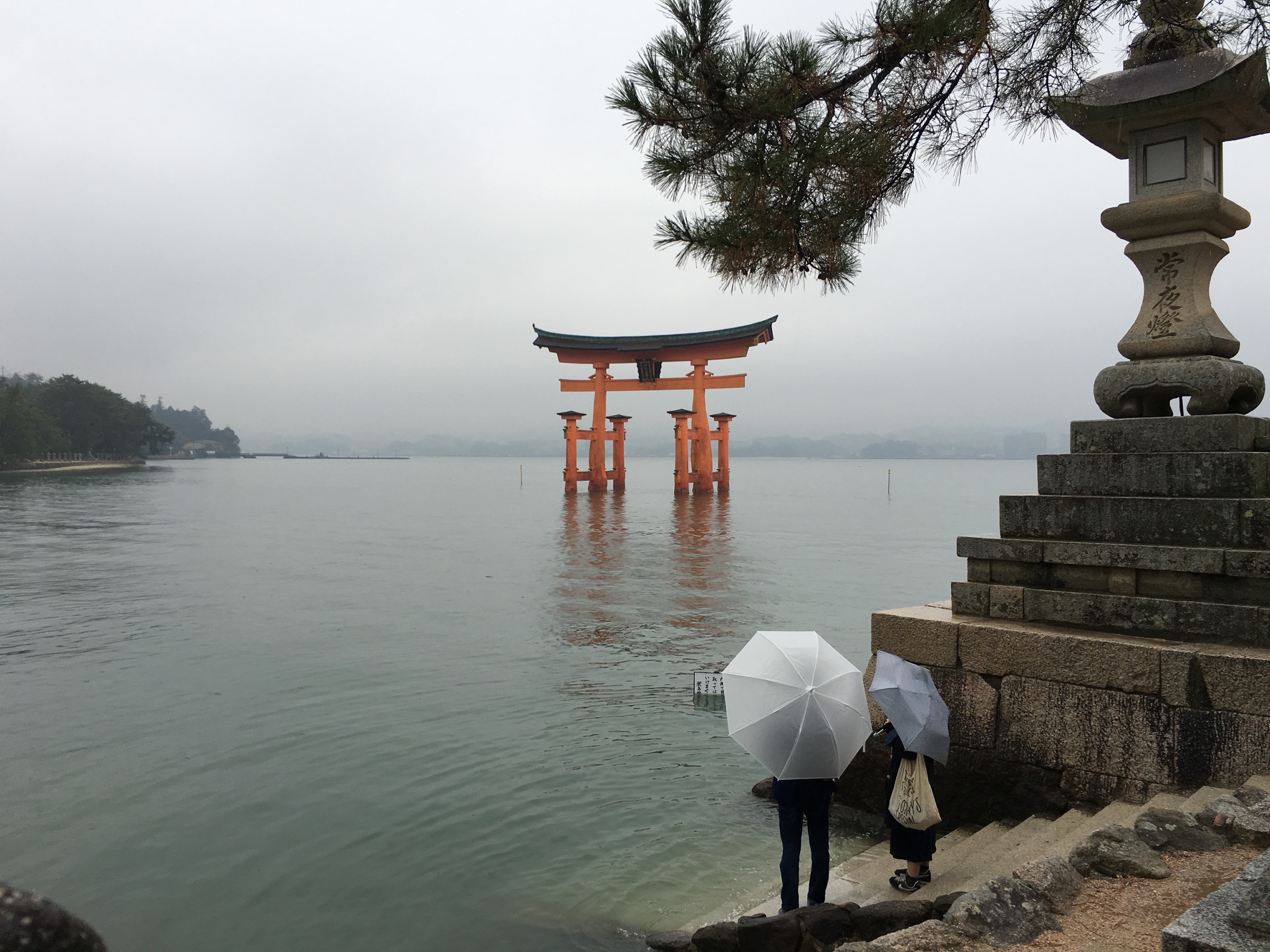 雨の厳島神社 メガネ ジュエリー 株式会社ノオミ