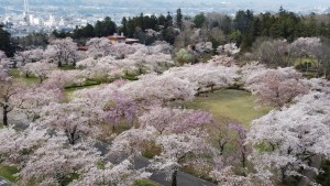 羊山