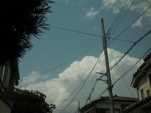 DSCN2203