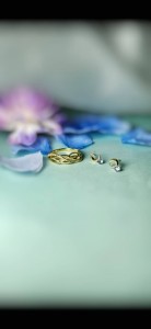 IMG_3334
